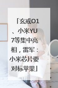 玄戒O1、小米YU7等集中亮相，雷军：小米芯片要对标苹果