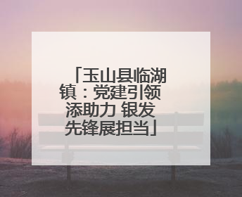 玉山县临湖镇：党建引领添助力 银发先锋展担当