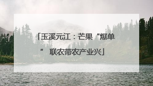 玉溪元江：芒果“爆单” 联农带农产业兴