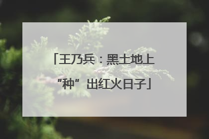 王乃兵：黑土地上“种”出红火日子