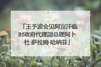 王予波会见阿富汗临时政府代理副总理阿卜杜·萨拉姆·哈纳菲