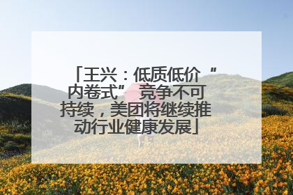 王兴：低质低价“内卷式” 竞争不可持续，美团将继续推动行业健康发展