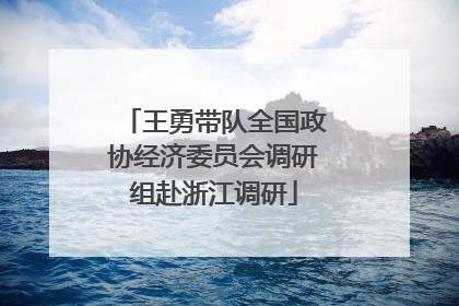 王勇带队全国政协经济委员会调研组赴浙江调研
