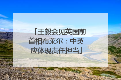 王毅会见英国前首相布莱尔：中英应体现责任担当
