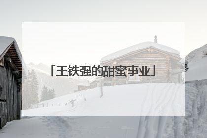 王铁强的甜蜜事业