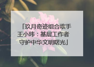 玖月奇迹组合歌手王小玮：基层工作者守护中华文明曙光