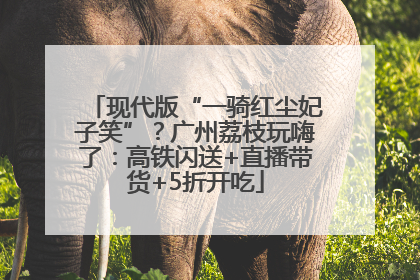 现代版“一骑红尘妃子笑”？广州荔枝玩嗨了：高铁闪送+直播带货+5折开吃