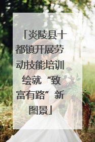 炎陵县十都镇开展劳动技能培训 绘就“致富有路”新图景
