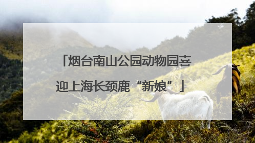 烟台南山公园动物园喜迎上海长颈鹿“新娘”