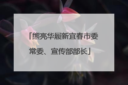 熊亮华履新宜春市委常委、宣传部部长