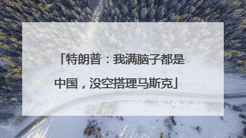 特朗普：我满脑子都是中国，没空搭理马斯克