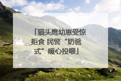 猫头鹰幼崽受惊拒食 民警“奶爸式”暖心投喂
