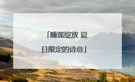 睡莲绽放 夏日限定的诗意