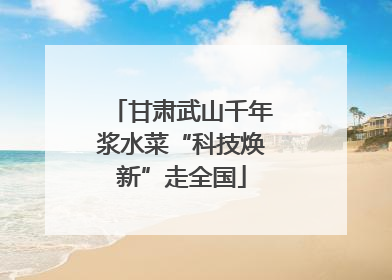 甘肃武山千年浆水菜“科技焕新”走全国