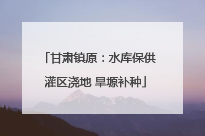 甘肃镇原：水库保供 灌区浇地 旱塬补种