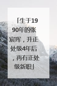 生于1990年的张宸珲，升正处级4年后，再有正处级新职