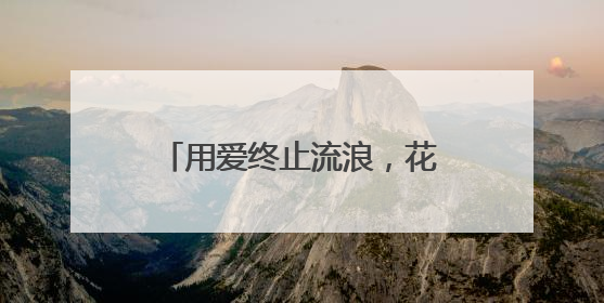 用爱终止流浪，花园街区里的“毛孩子”也想有个家
