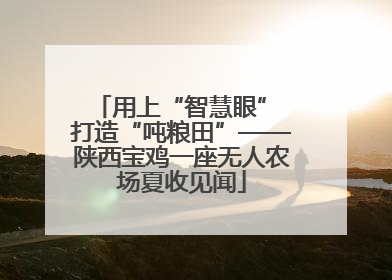 用上“智慧眼” 打造“吨粮田”——陕西宝鸡一座无人农场夏收见闻