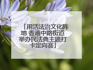 用活法治文化阵地 香港中路街道举办民法典主题打卡定向赛