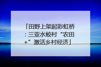 田野上架起彩虹桥：三亚水蛟村“农田+”激活乡村经济