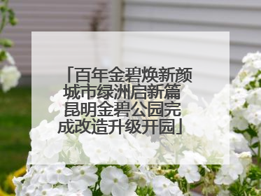 百年金碧焕新颜 城市绿洲启新篇 昆明金碧公园完成改造升级开园
