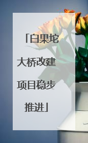 白果坨大桥改建项目稳步推进