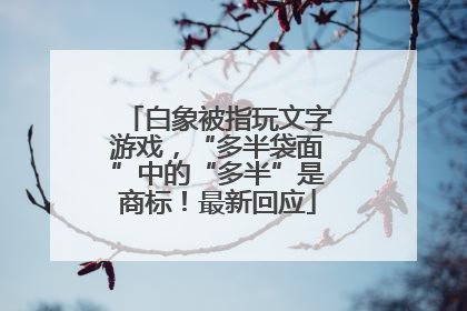 白象被指玩文字游戏，“多半袋面”中的“多半”是商标！最新回应