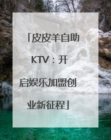皮皮羊自助 KTV：开启娱乐加盟创业新征程