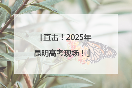 直击！2025年昆明高考现场！
