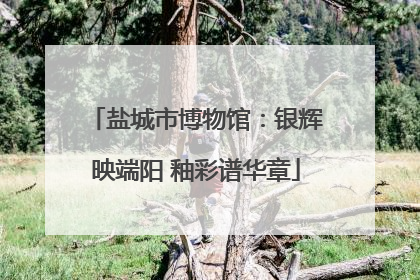 盐城市博物馆：银辉映端阳 釉彩谱华章