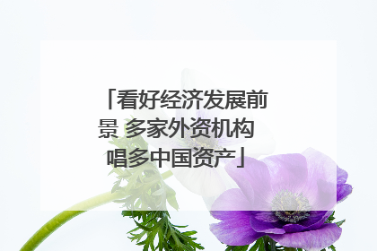 看好经济发展前景 多家外资机构唱多中国资产