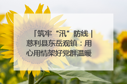 筑牢“汛”防线｜慈利县东岳观镇：用心用情架好党群温暖悠长的“连心桥”