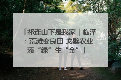 祁连山下是我家｜临泽：荒滩变良田 戈壁农业添“绿”生“金”