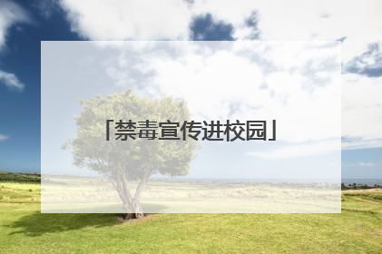 禁毒宣传进校园