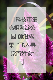 科技市集亮相海淀公园 前沿成果“飞入寻常百姓家”