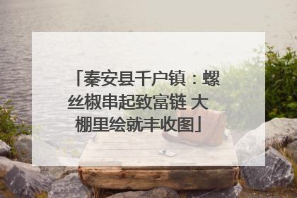 秦安县千户镇：螺丝椒串起致富链 大棚里绘就丰收图