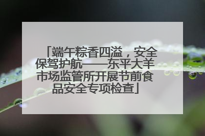端午粽香四溢，安全保驾护航——东平大羊市场监管所开展节前食品安全专项检查