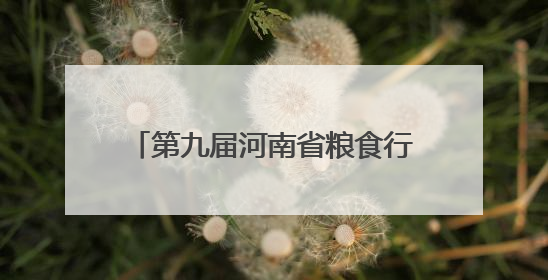 第九届河南省粮食行业职业技能大赛开幕