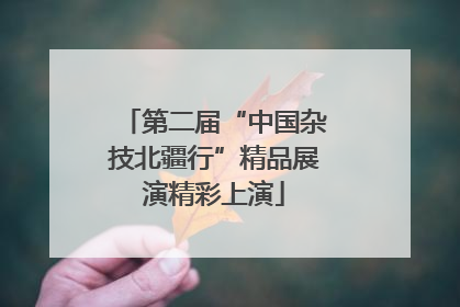 第二届“中国杂技北疆行”精品展演精彩上演