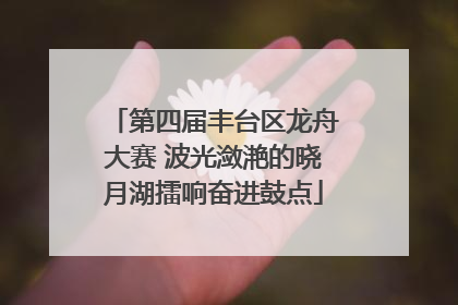 第四届丰台区龙舟大赛 波光潋滟的晓月湖擂响奋进鼓点