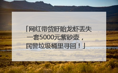 网红带货盱眙龙虾丢失一套5000元紫砂壶，民警垃圾桶里寻回！