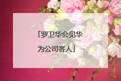 罗卫华会见华为公司客人