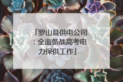 罗山县供电公司：全面备战高考电力保供工作