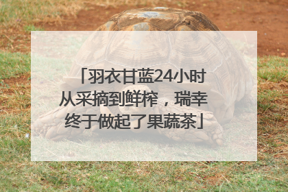 羽衣甘蓝24小时从采摘到鲜榨，瑞幸终于做起了果蔬茶