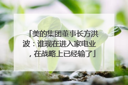 美的集团董事长方洪波：谁现在进入家电业，在战略上已经输了