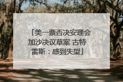 美一票否决安理会加沙决议草案 古特雷斯：感到失望