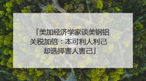 美加经济学家谈美钢铝关税加倍：本可利人利己 却选择害人害己