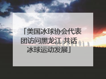 美国冰球协会代表团访问黑龙江 共话冰球运动发展