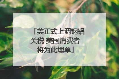 美正式上调钢铝关税 美国消费者将为此埋单