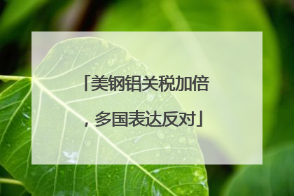 美钢铝关税加倍，多国表达反对